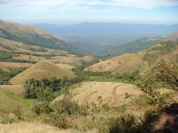 Baba Budangiri Hills
