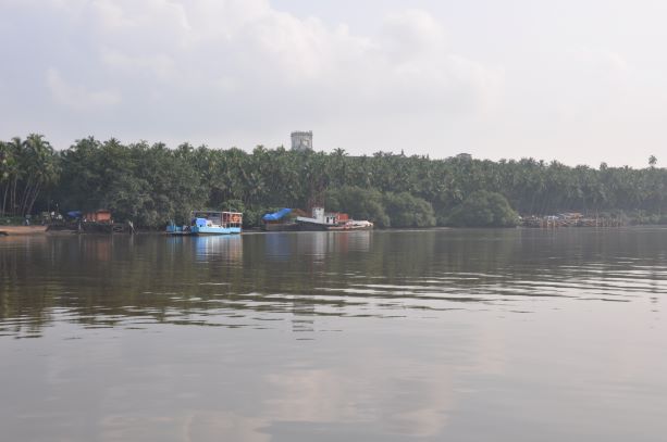 Goa - Divar Island
