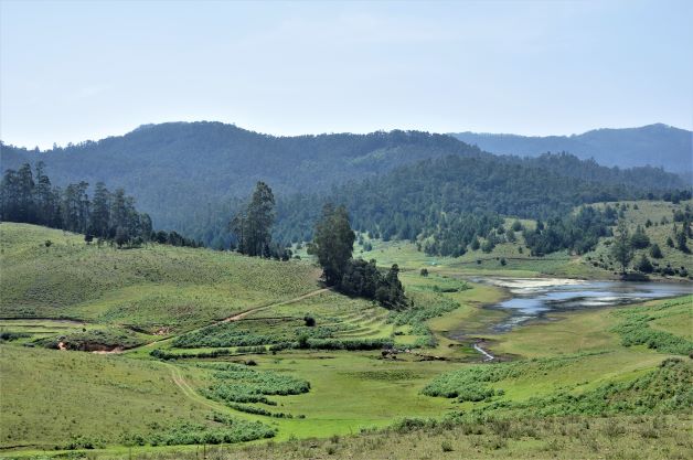 Mannavanur - Grasslands 