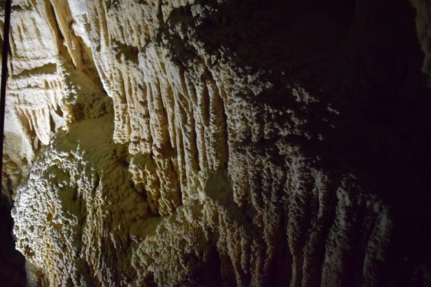 Waitomo Glow Worm Caves 