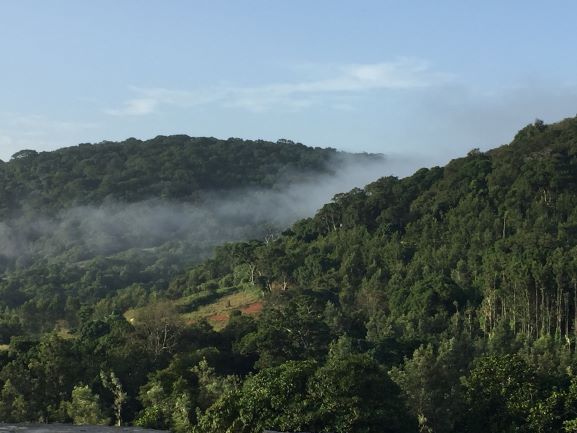 Kolli Hills