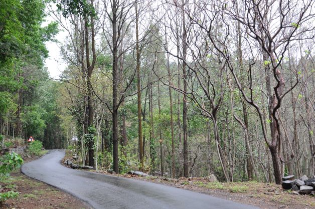 Yercaud - Loop-road Drive