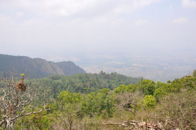 Yercaud - Pagoda Point