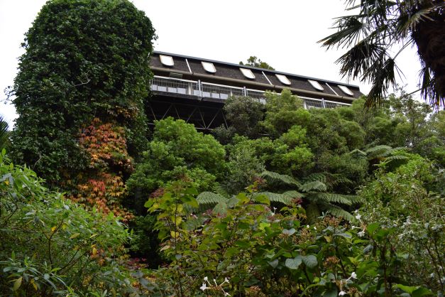 Wellington Botanic Garden 