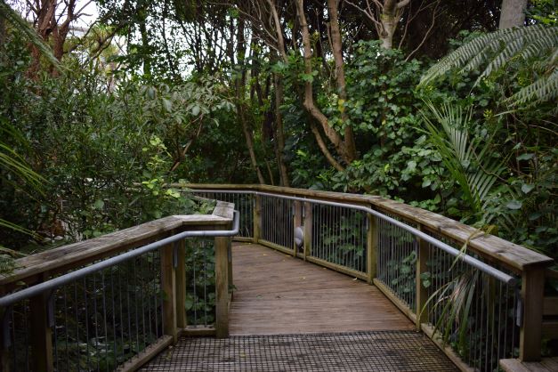 Wellington Botanic Garden 