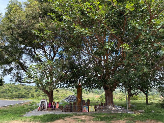 Denkanikottai - Gavi Lakshmi Narasimha Temple