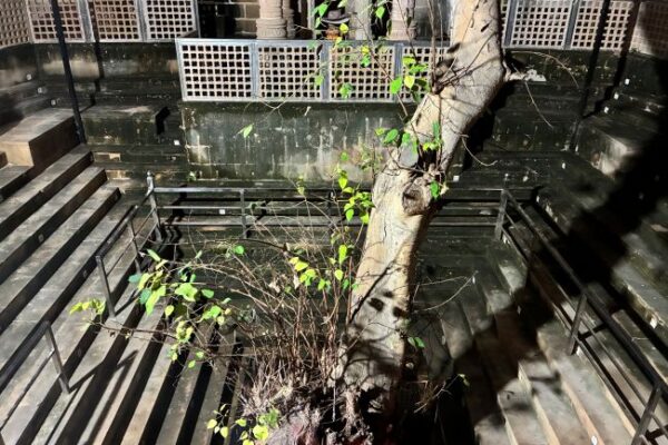 Dwarka – Brahma Kund