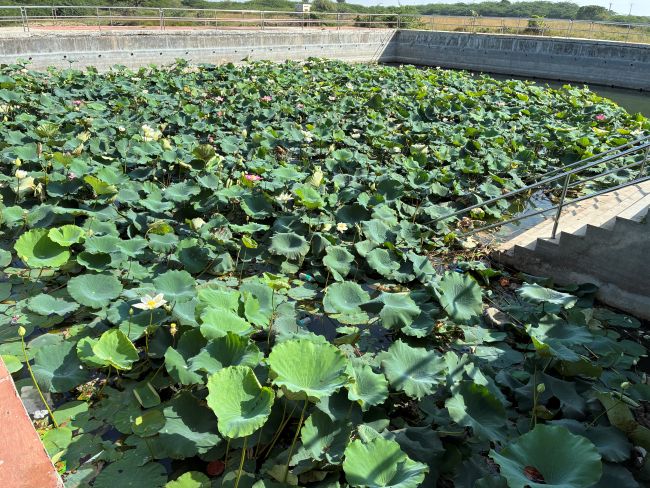 Beyt Dwaraka - Makardhwaj Hanuman Mandir