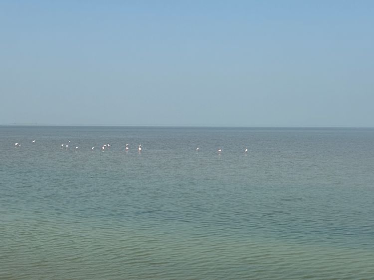 Kutch - Road to Heaven