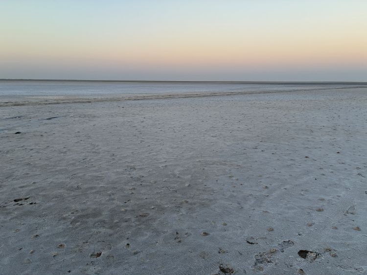 Kutch - Safed Rann