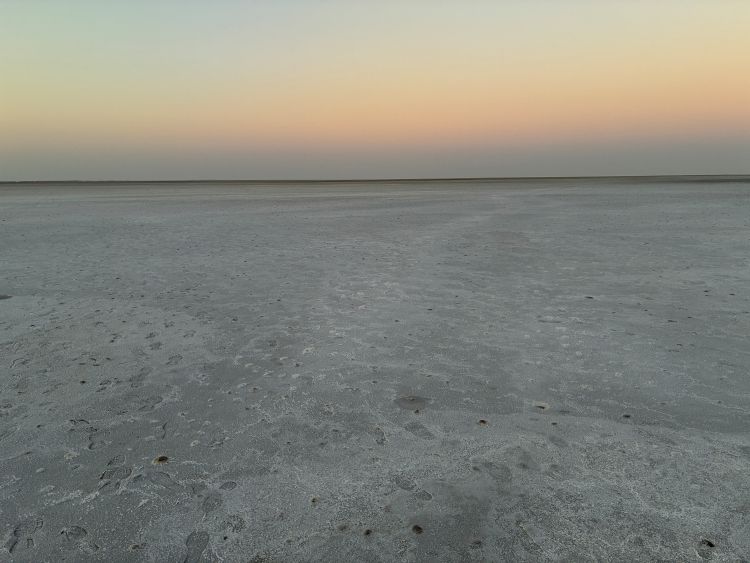 Kutch - Safed Rann