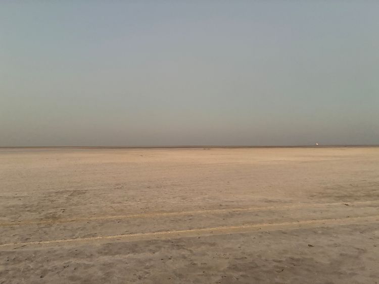 Kutch - Safed Rann