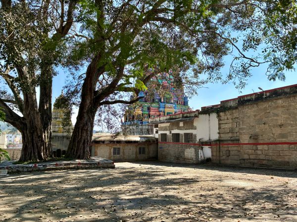 Bannerghatta - Shri Champakadhama Swamy Temple