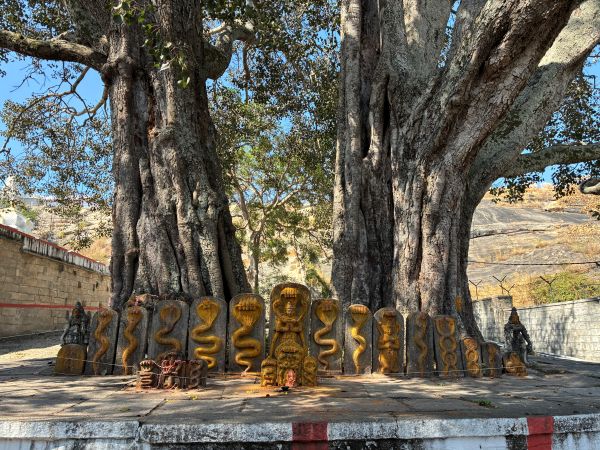 Bannerghatta - Shri Champakadhama Swamy Temple