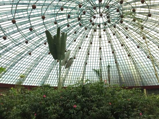 Bannerghatta Biological Park