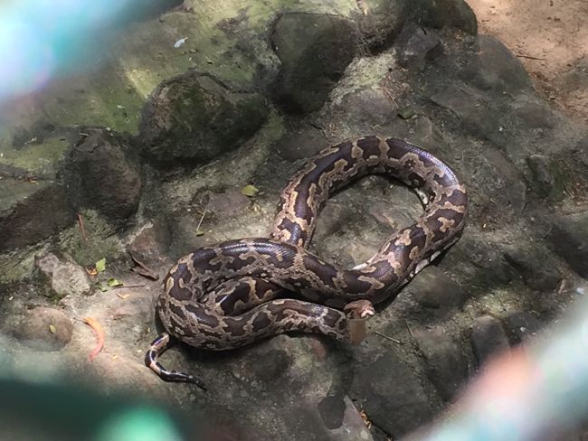 Bannerghatta Biological Park