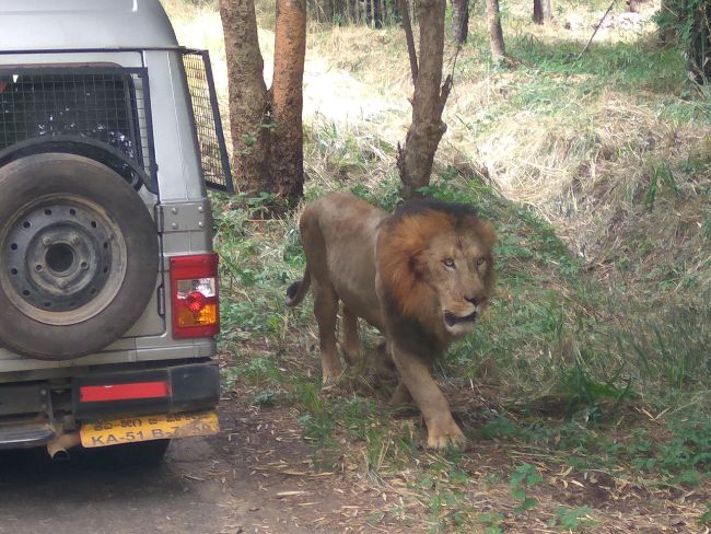 Bannerghatta Biological Park