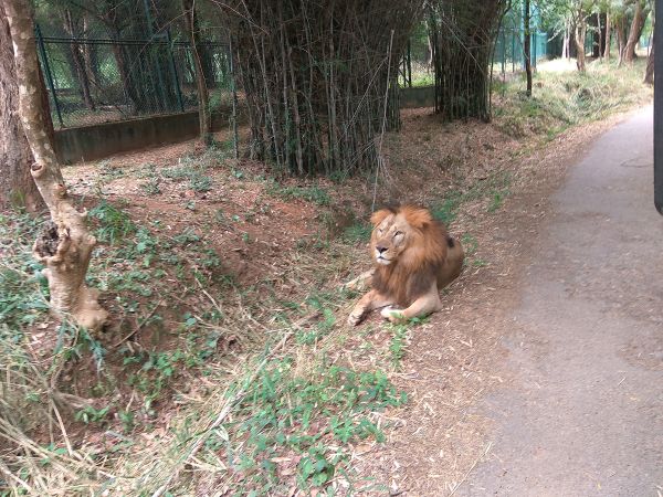 Bannerghatta Biological Park