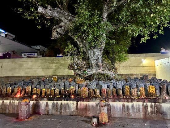 Kanchipuram - Kachabeswarar Temple