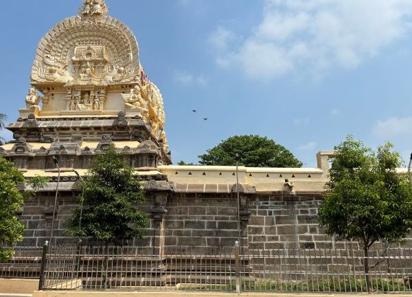 Kanchipuram - Pandava Thoothar Perumal Temple