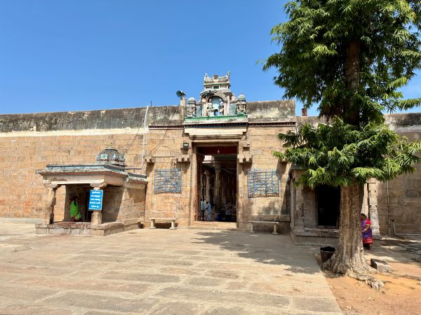 Thiruvathavur - Thirumarainatha Swamy Temple