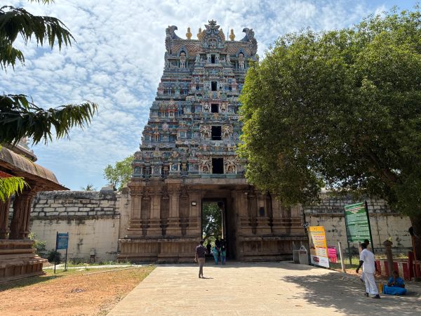 Thiruvathavur - Thirumarainatha Swamy Temple