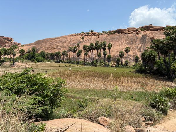 Arittapatti - Kudaivarai Shiva Temple