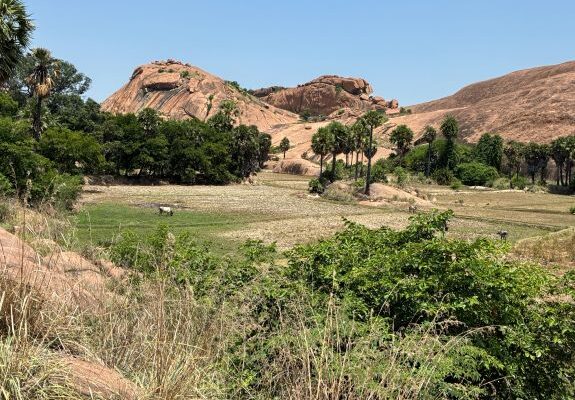 Arittapatti
